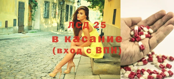стаф Баксан