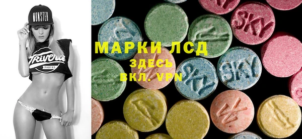 стаф Баксан
