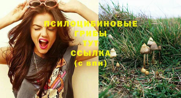 стаф Баксан