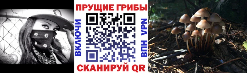 Галлюциногенные грибы Magic Shrooms  Ленинградская 