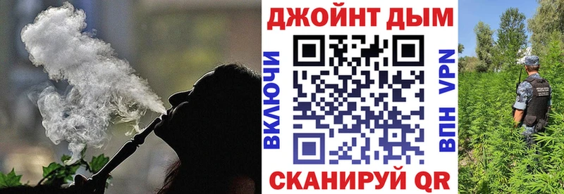 Каннабис OG Kush  Ленинградская 